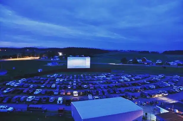 screen and lot at Blue Fox Drive-in