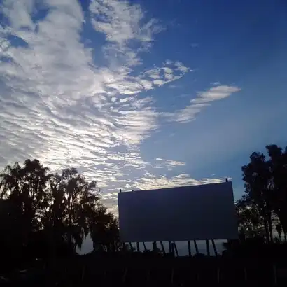 screen at Ruskin Family Drive-in